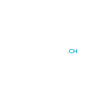Y30 Association logo